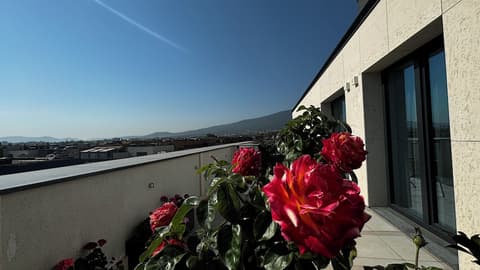 Blue Star Luxury Hotel, Mountain view