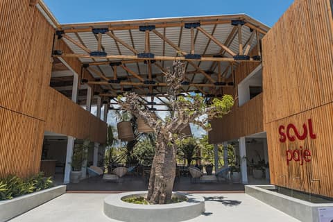 Soul Paje Managed by TOC, Reception