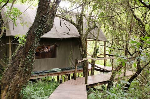 Summerfields Rose Retreat & Spa, View from room