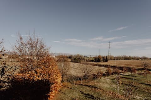 Privilege Apartments, View from property