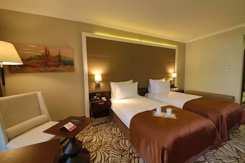 Ramada by Wyndham Istanbul Merter, Room