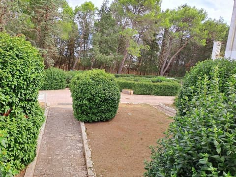 Tenuta Lo Cuoccio, Exterior