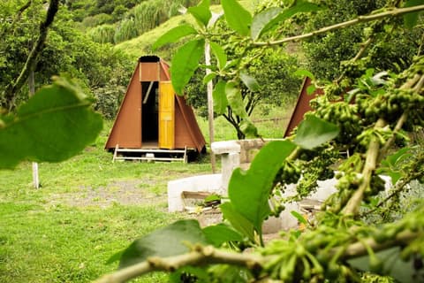 Natural Garden Glamping, Room