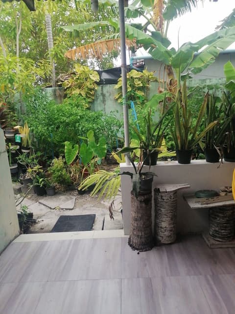 The Rose Garden House, Exterior