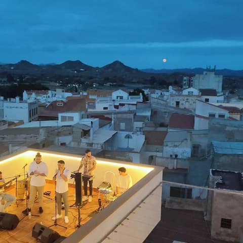 El Palacete de Cuevas, Terrace/patio