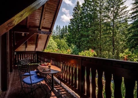 Vila Zorile, Terrace/patio