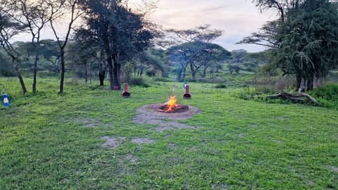 Africa Safari South Serengeti Camping, Fireplace