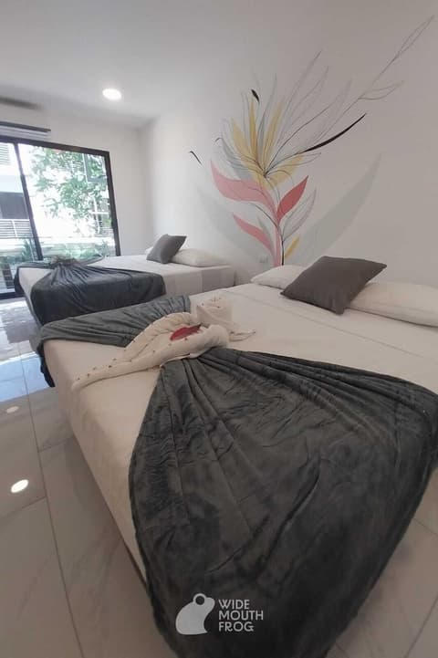 Wide Mouth Frog At Quepos, Room