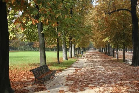 HOTEL BRENTA, Miscellaneous