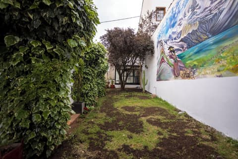 KUSKA SAN BLAS, Room