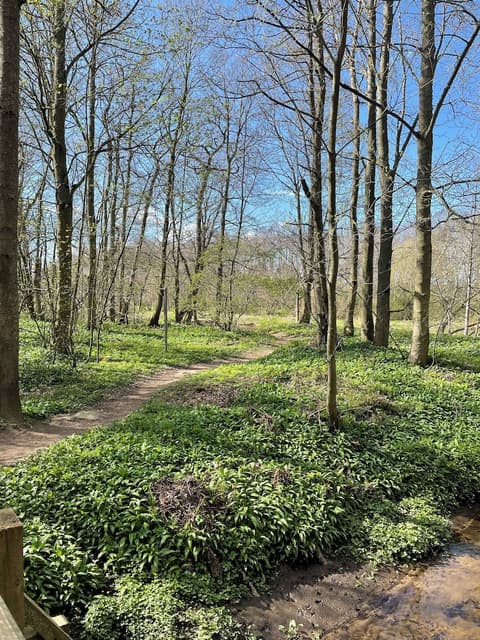 The Clubhouse, Hiking