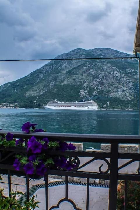 CASA DEL SOL ROZALIA, Property grounds