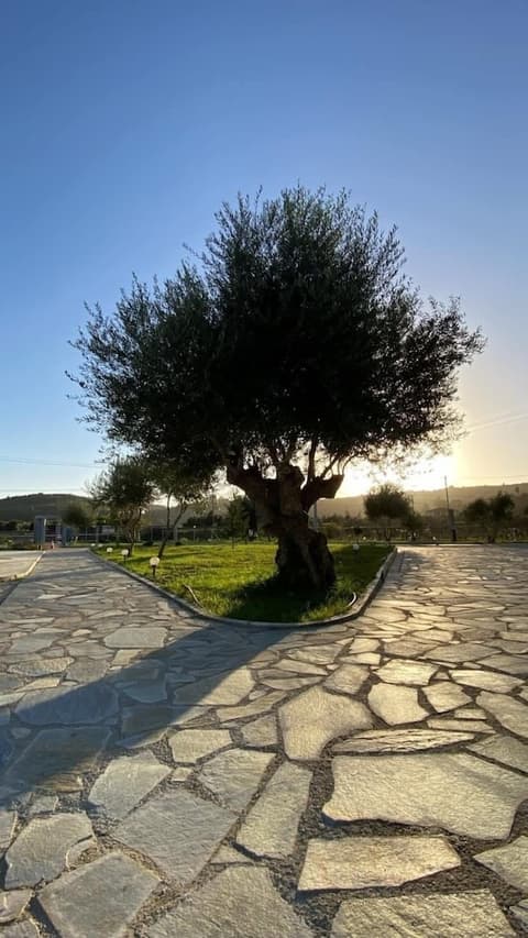 Vians Olympia Resort, Exterior