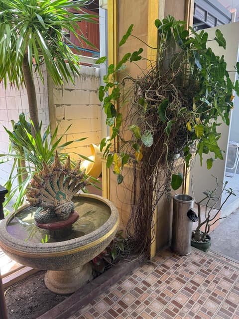 Kata Palace Phuket Hotel, View from property