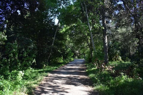 Garitsa bay Apartment, Bicycling