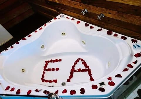 David Plaza Hotel, Front of property