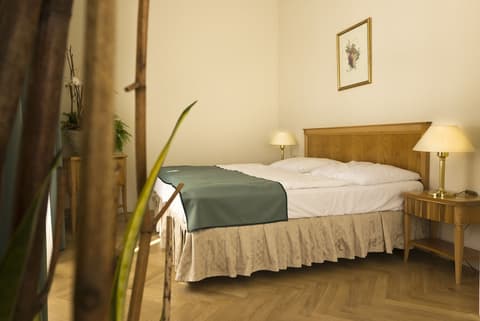 Grandhotel AMBASSADOR National House, Room