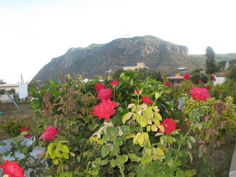 Stenna Apartments, Property grounds