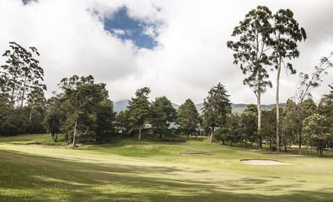 Oak Ray Summer Hill Breeze, Golf