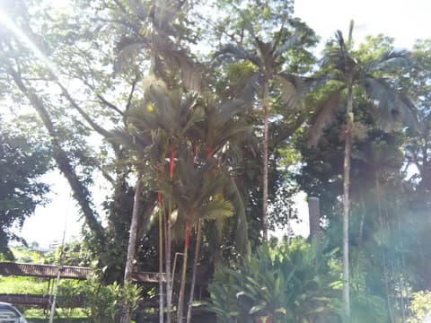 Telang Usan Hotel, Property grounds