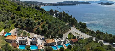 Golden King, Front of property