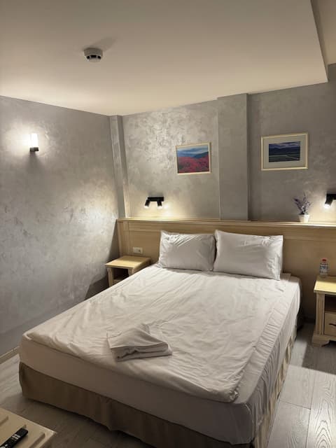 Aris Hotel Sofia, Room