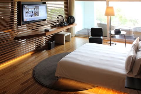 The View Lugano, Room