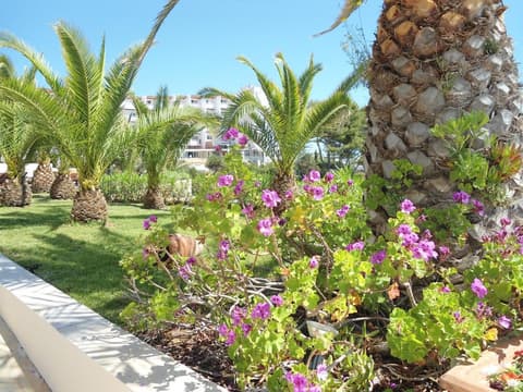 Grand Hotel Palladium, Property grounds