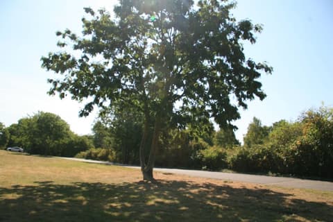 Hotel Fortune, Property grounds