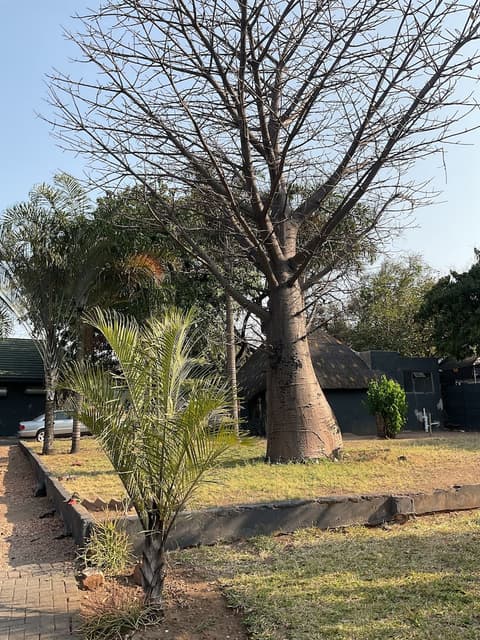 Bothabelo Lodge, View from room
