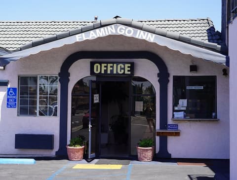 Flamingo Inn, Reception