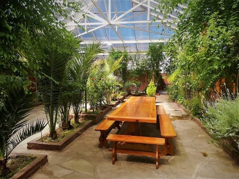 Don Pepe Hotel y Cabañas, Terrace/patio