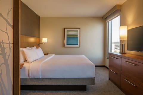 Hyatt Place Houston/Galleria, Room