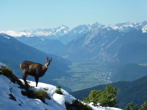 Appartements Rabitsch Hof, Hiking