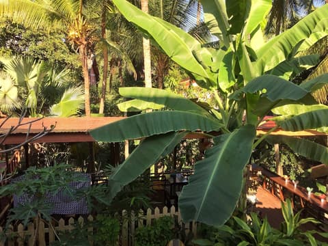 Villa Sayada, Terrace/patio