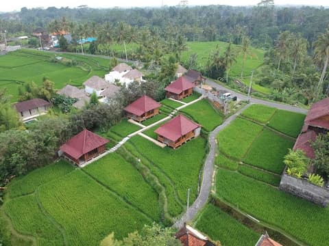 Ubud Sawah Homestay, Exterior