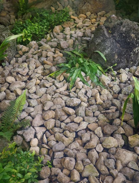 Hotel The One, Garden