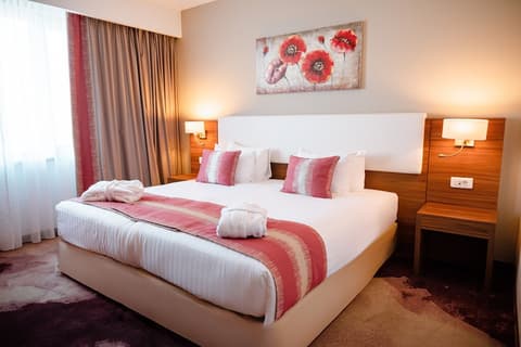 Ramada Plaza by Wyndham Craiova, Room