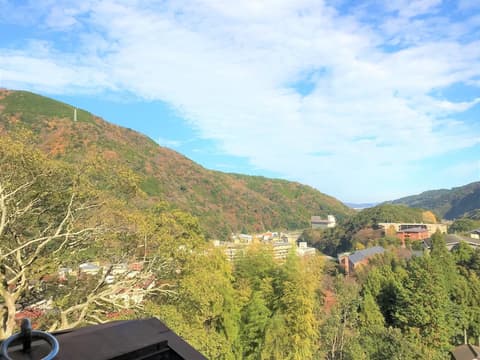 Onsen Hostel K's House Hakone, View from room