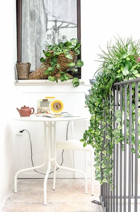 B&B Maria Vittoria and Apartments, Terrace/patio