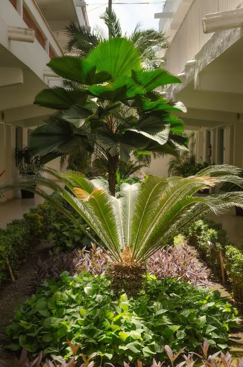 Hotel Casa Blanca, Interior