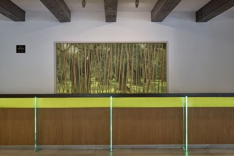 Atlantica Akti Zeus, Reception