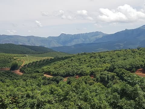 Sherwood's Country House, Exterior