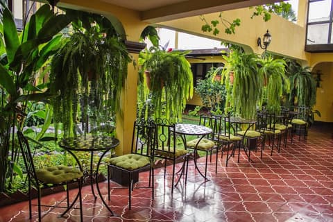 Las Camelias Inn, Breakfast area