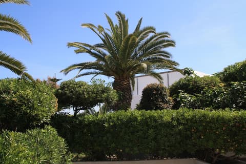 Hotel Villaggio Club ALTALIA Residence, Garden