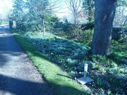 Spylaw Bank House, Exterior