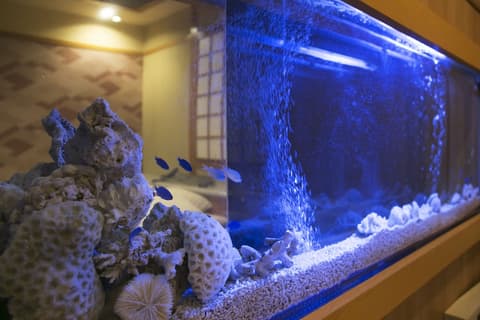 Hotel Atlantis Higashiosaka - Adults Only, Room amenity