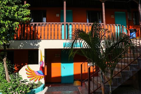 Blue Iguana, View from room