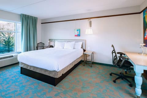 Hilton Garden Inn Asheville Downtown, Room