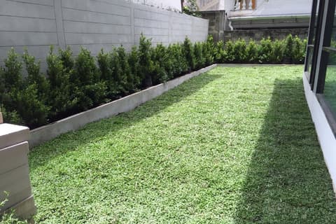 Sirin Loft Resident, Garden